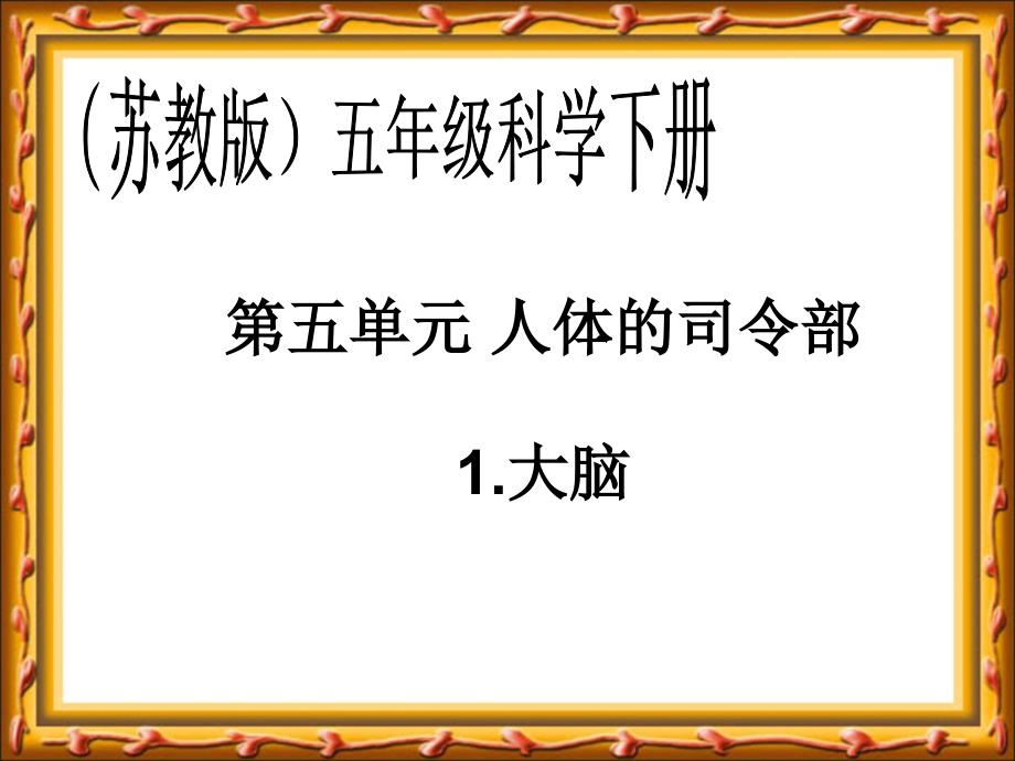 苏教版小学科学五年级下册大脑课件21_第1页