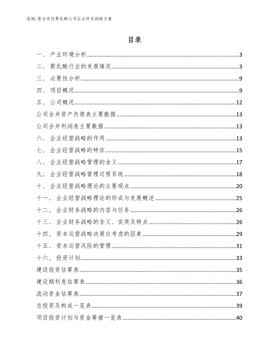 复合改性聚乳酸公司企业财务战略方案_第2页