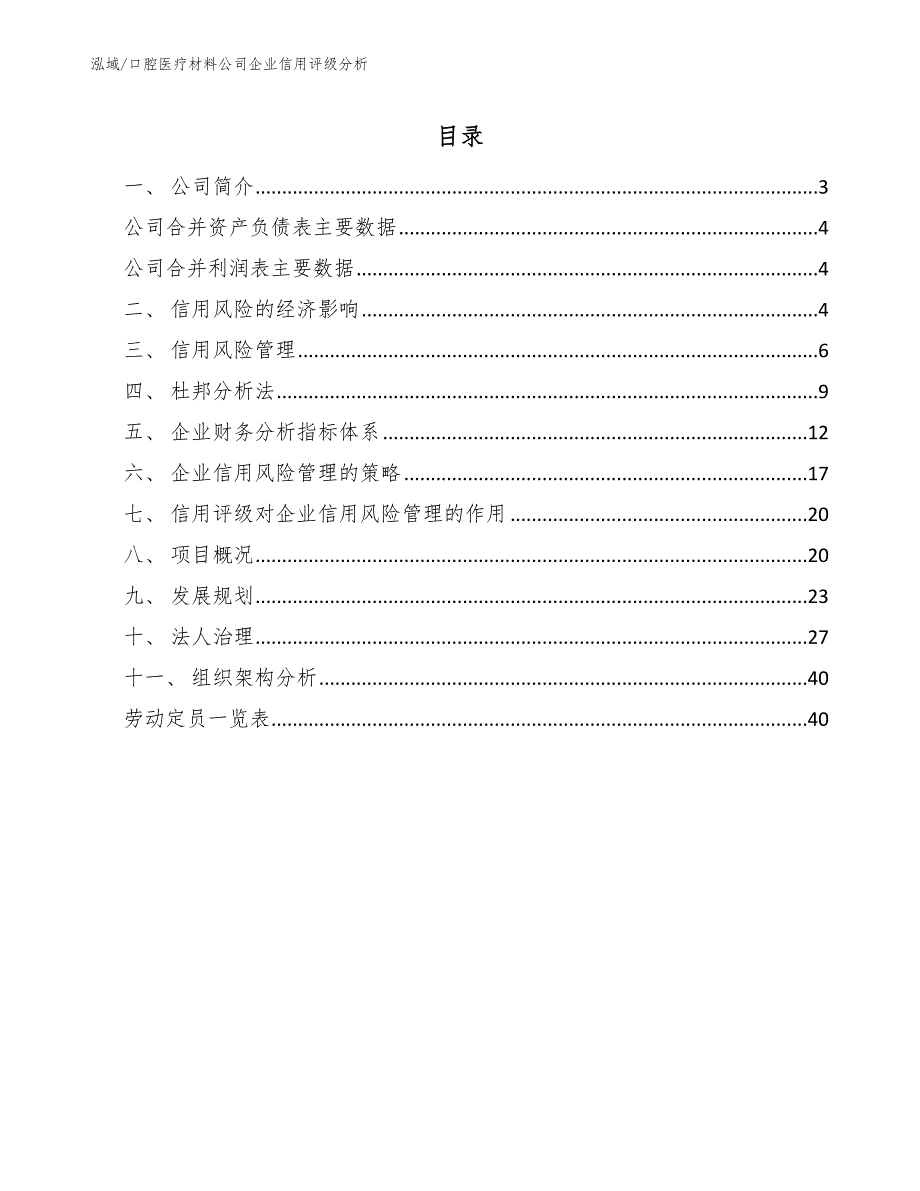 口腔医疗材料公司企业信用评级分析_第2页