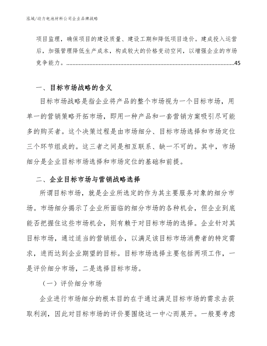 动力电池材料公司企业品牌战略（范文）_第2页