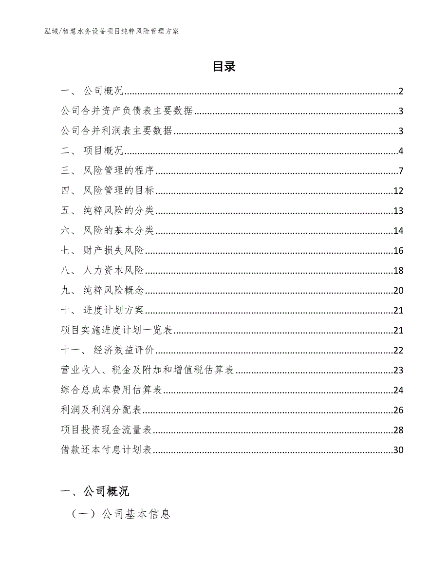 智慧水务设备项目纯粹风险管理方案（范文）_第2页