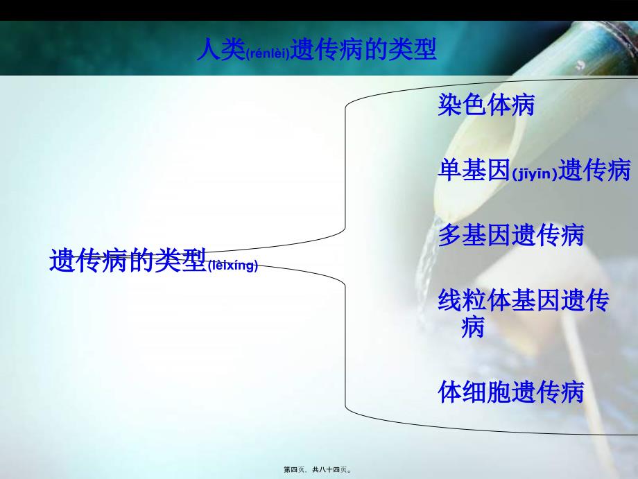 人类常见遗传病课件_第4页