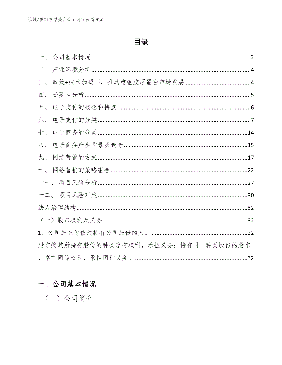 重组胶原蛋白公司网络营销方案（参考）_第2页