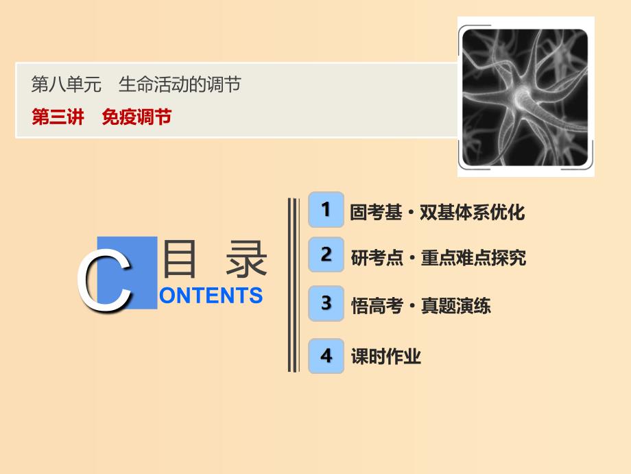 2019版高考生物一轮复习 第八单元 生命活动的调节 生命活动的调节 第三讲 免疫调节.ppt_第1页