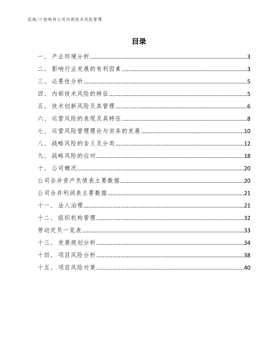 口腔耗材公司内部技术风险管理_范文_第2页