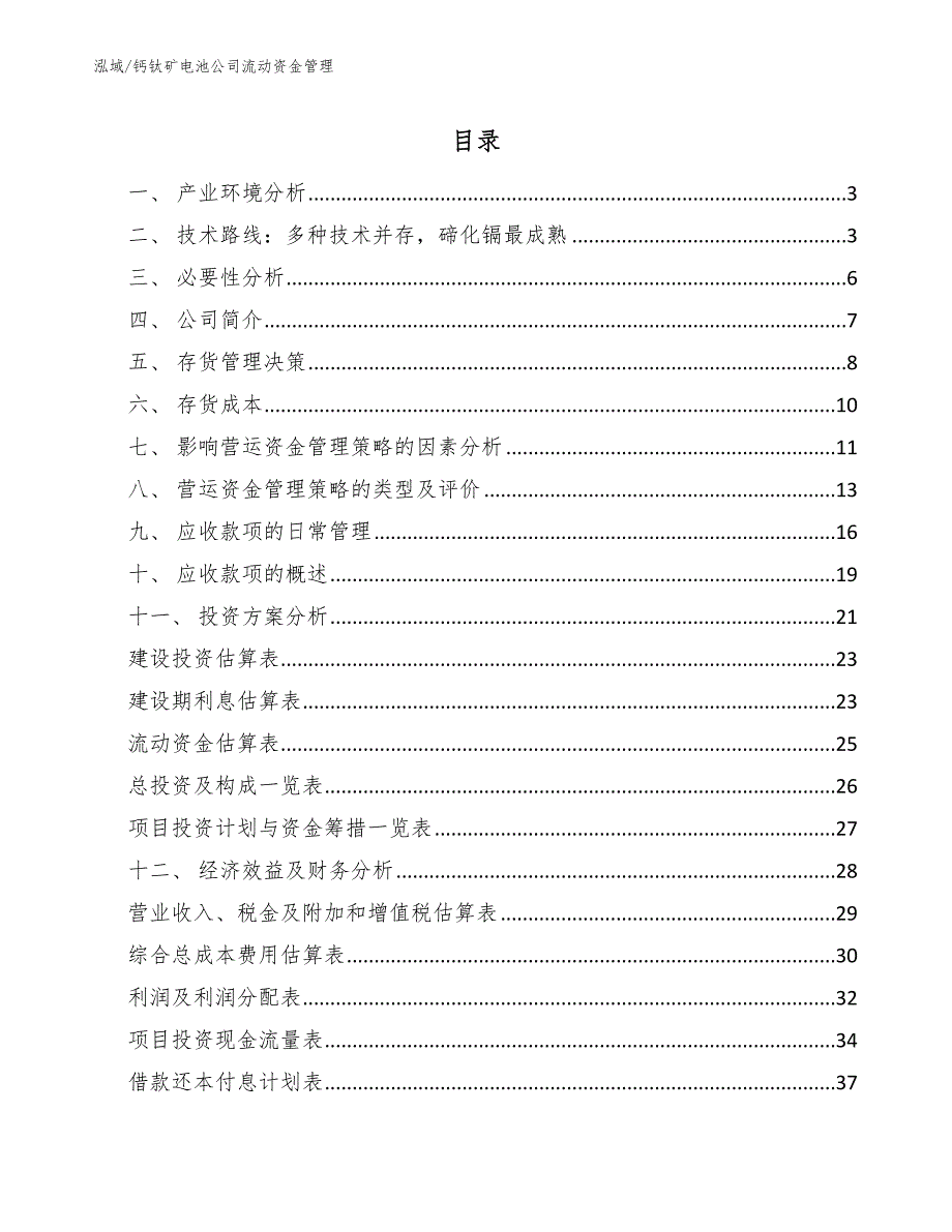 钙钛矿电池公司流动资金管理_第2页