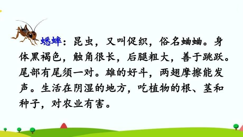 部编人教版四年级上册语文《蟋蟀的住宅》精品课件_第5页