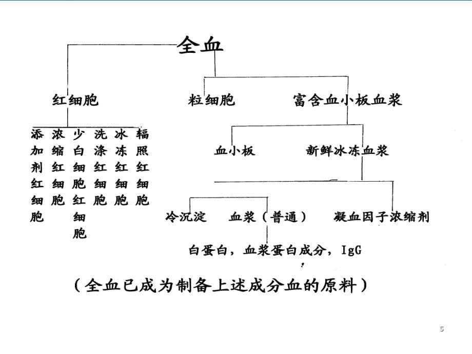 成分输血讲PPT课件_第5页