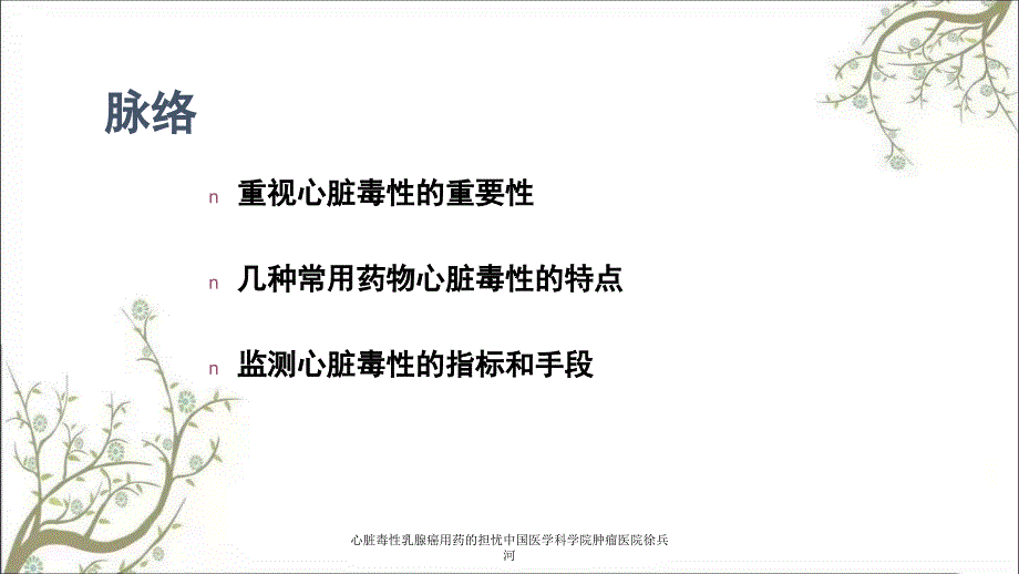 心脏毒性乳腺癌用药的担忧中国医学科学院肿瘤医院徐兵河_第2页