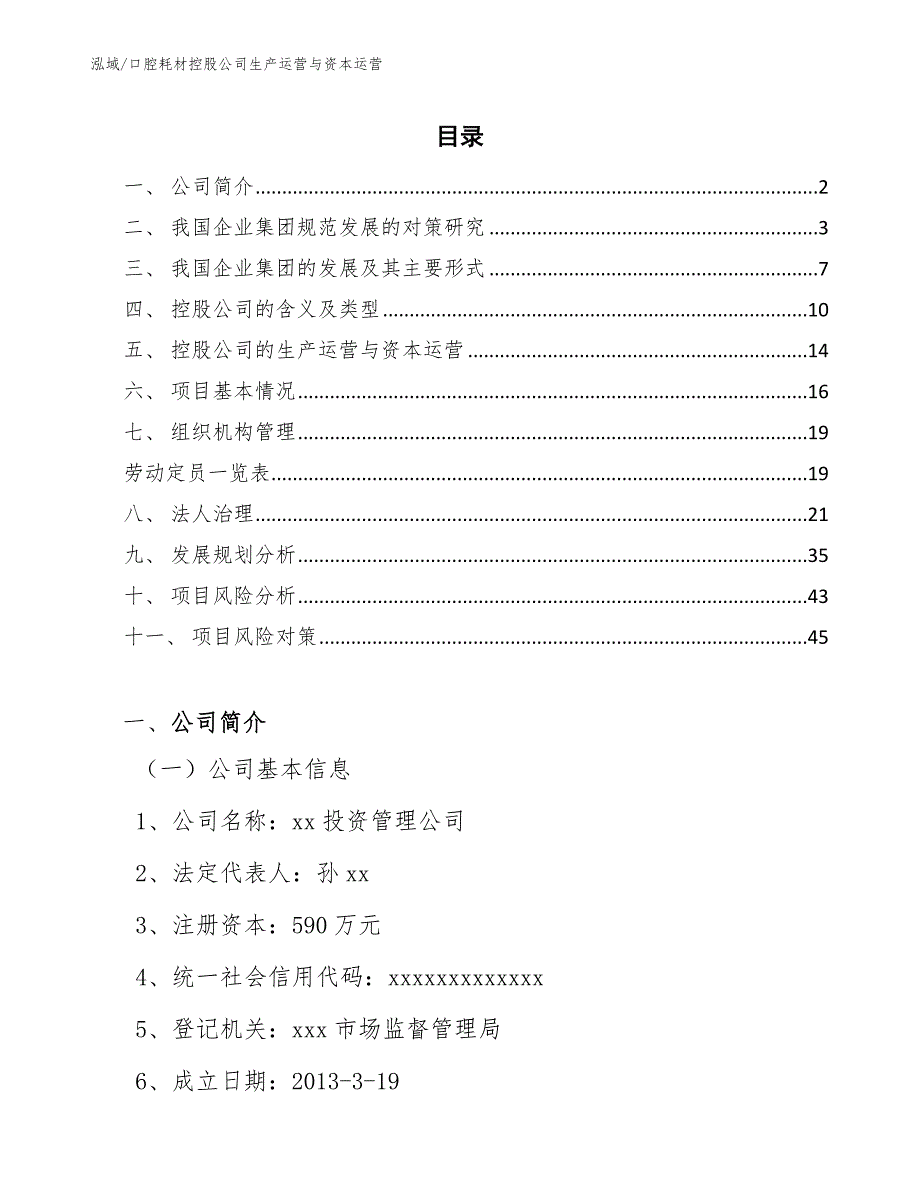 口腔耗材控股公司生产运营与资本运营（范文）_第2页