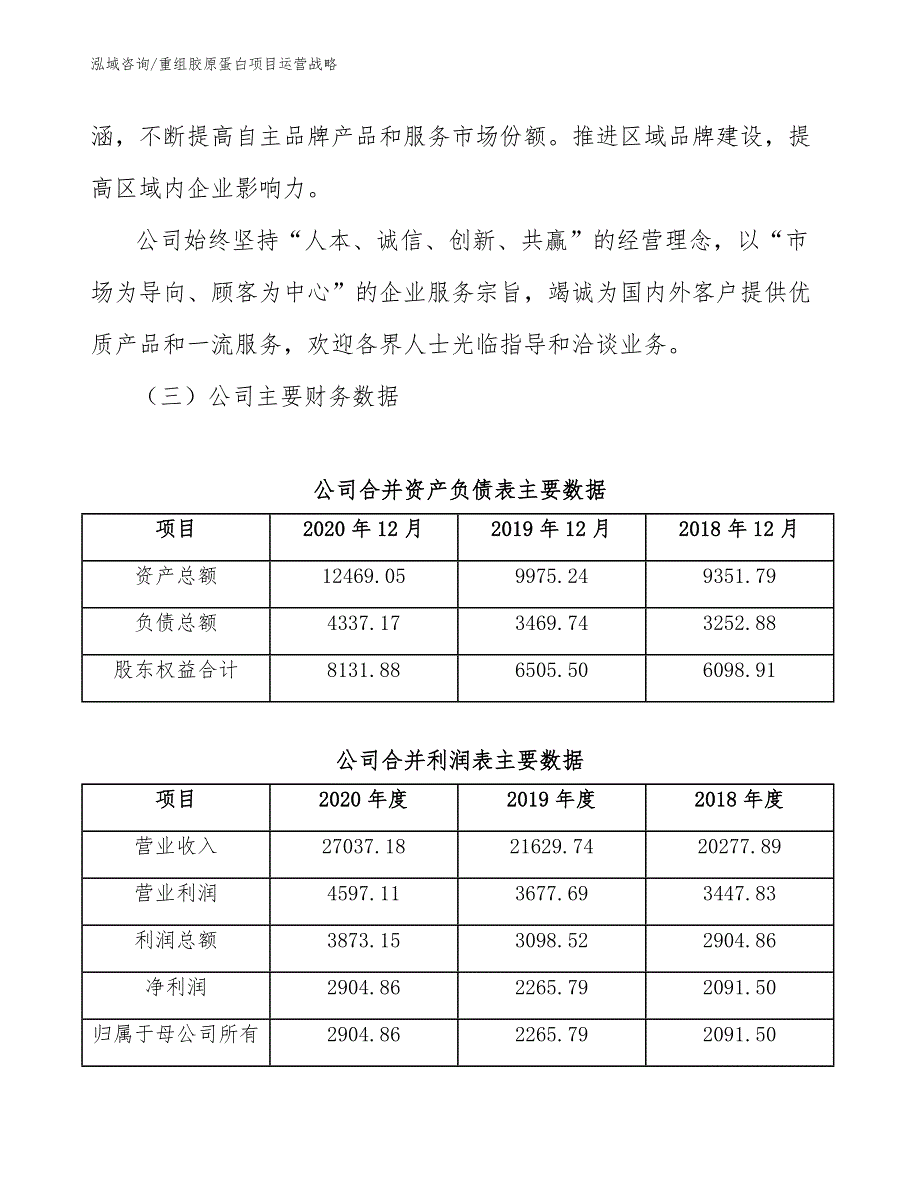 重组胶原蛋白项目运营战略【参考】_第4页