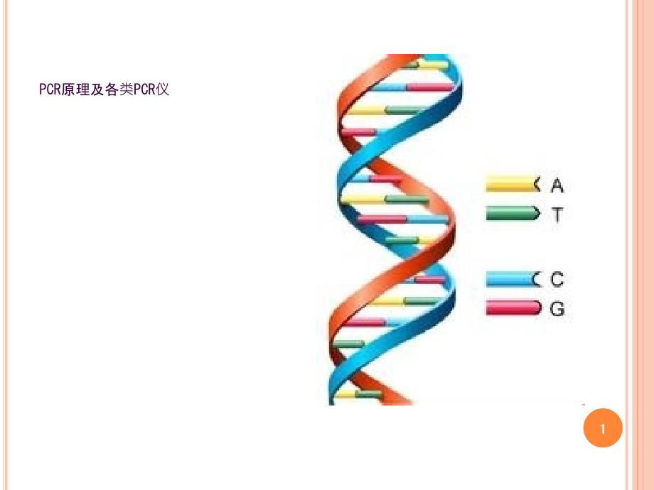 PCR原理及各类PCR仪ppt课件_第1页