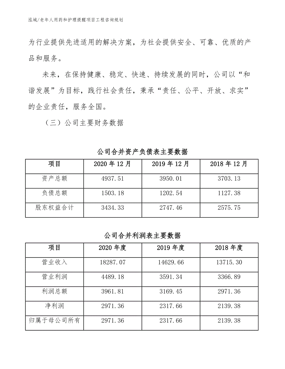 老年人用药和护理提醒项目工程咨询规划（范文）_第4页