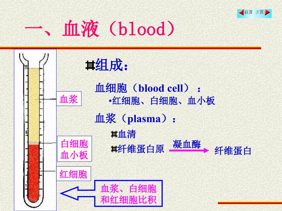 组织与胚胎学：3血液_第3页