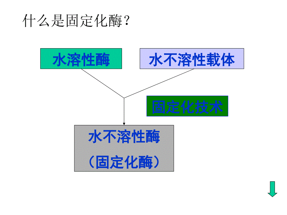 《酶与细胞的固定化》PPT课件_第4页