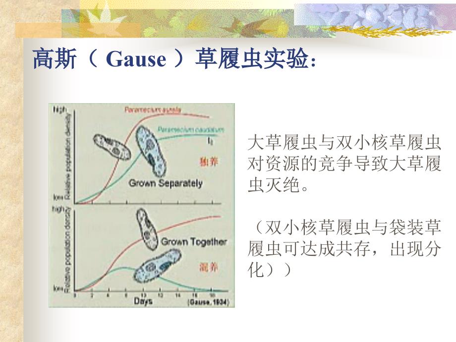 第五章---种内与种间关系_第4页