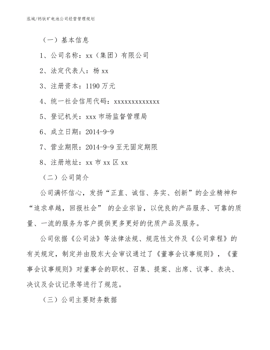 钙钛矿电池公司经营管理规划（参考）_第2页