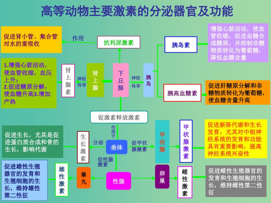 高考生物高频考点30高等动物主要激素的分泌器官及功能素材.ppt_第1页