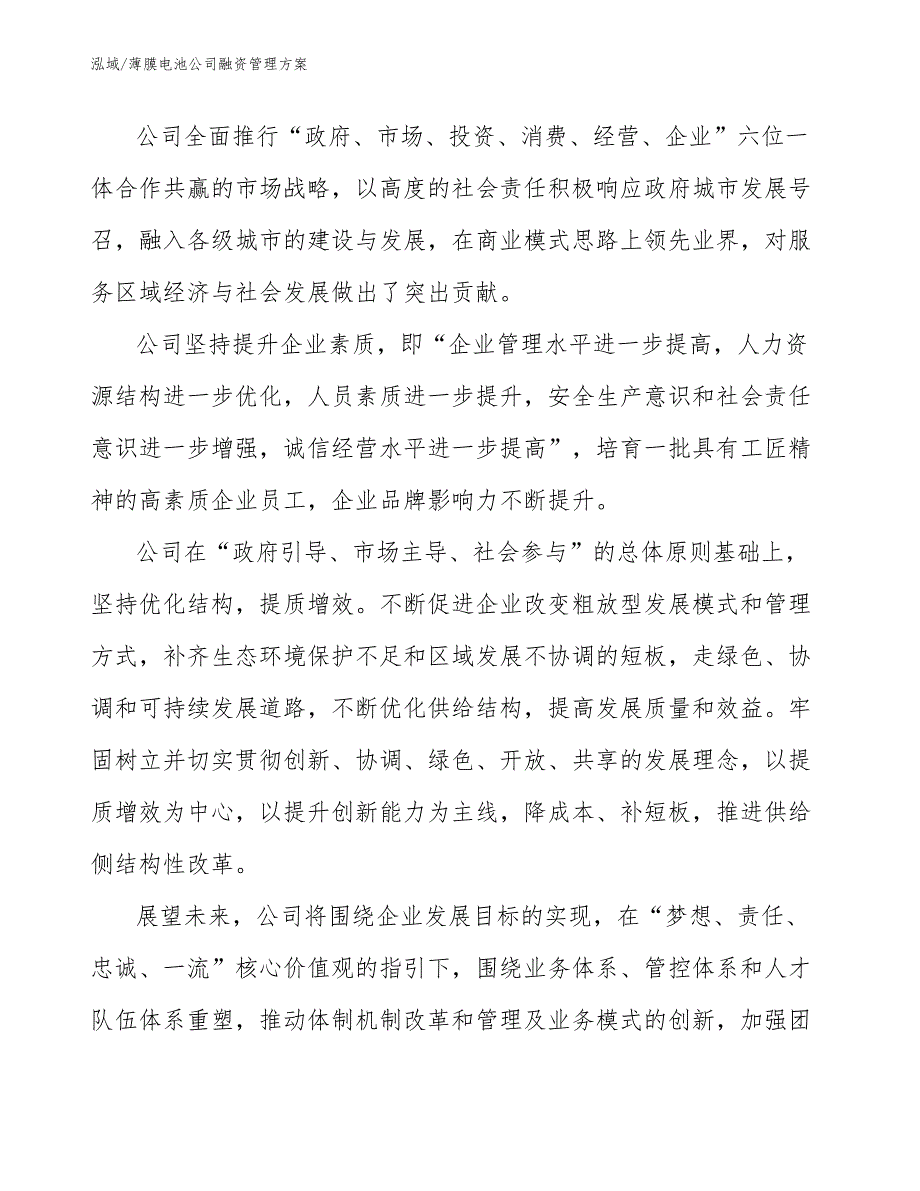 薄膜电池公司融资管理（参考）_第4页