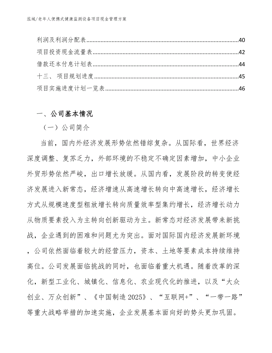 老年人便携式健康监测设备项目现金管理方案_第2页