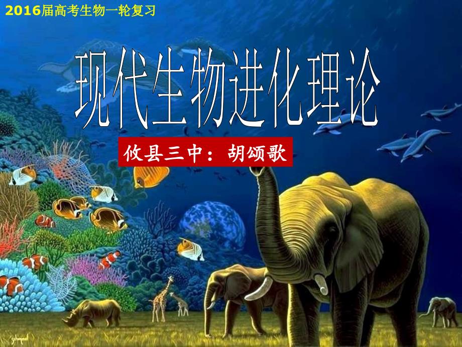 现代生物进化理论一轮复习参赛课件_第1页