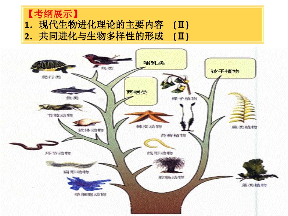 现代生物进化理论一轮复习参赛课件_第2页