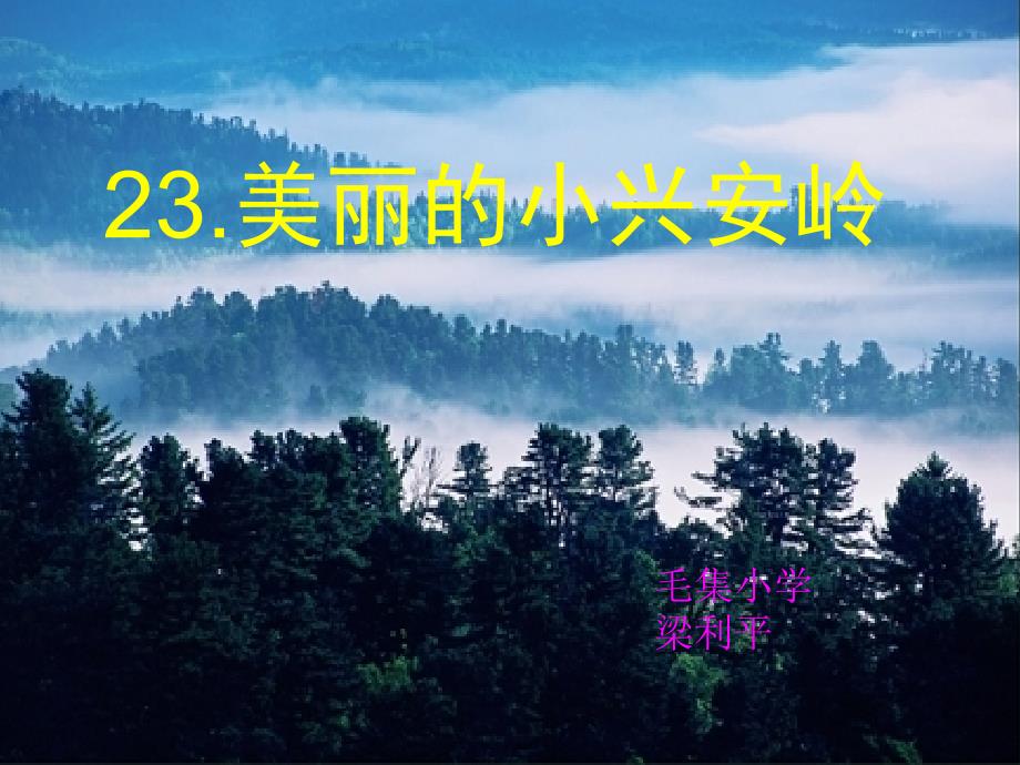 23美丽的小兴安岭课件PPT_第1页