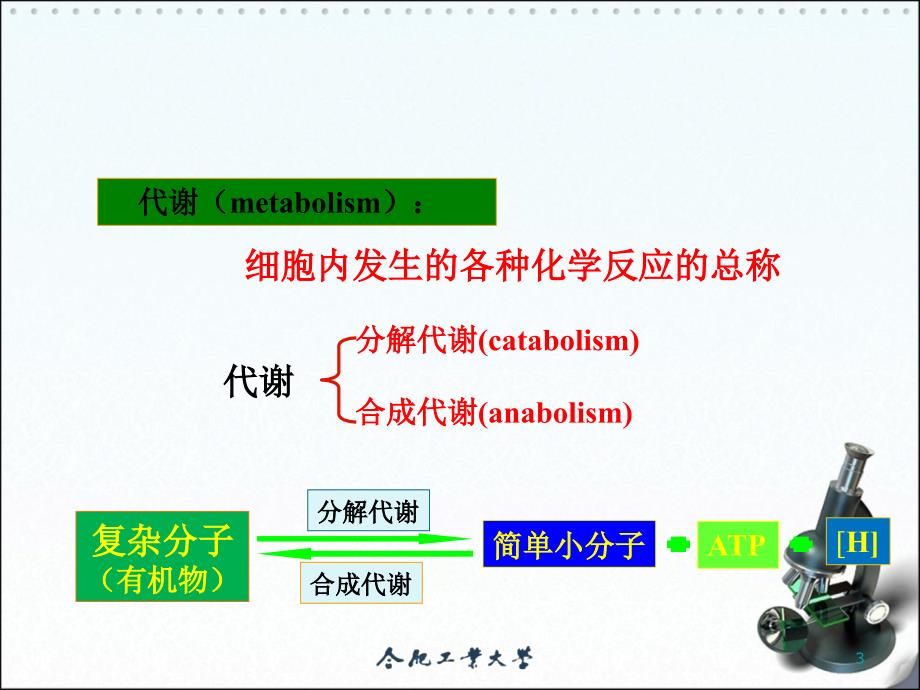 发酵过程详版行业研究_第3页