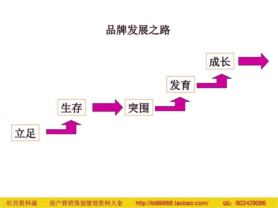 广州华艺长双鹿业品牌战略思考_第5页