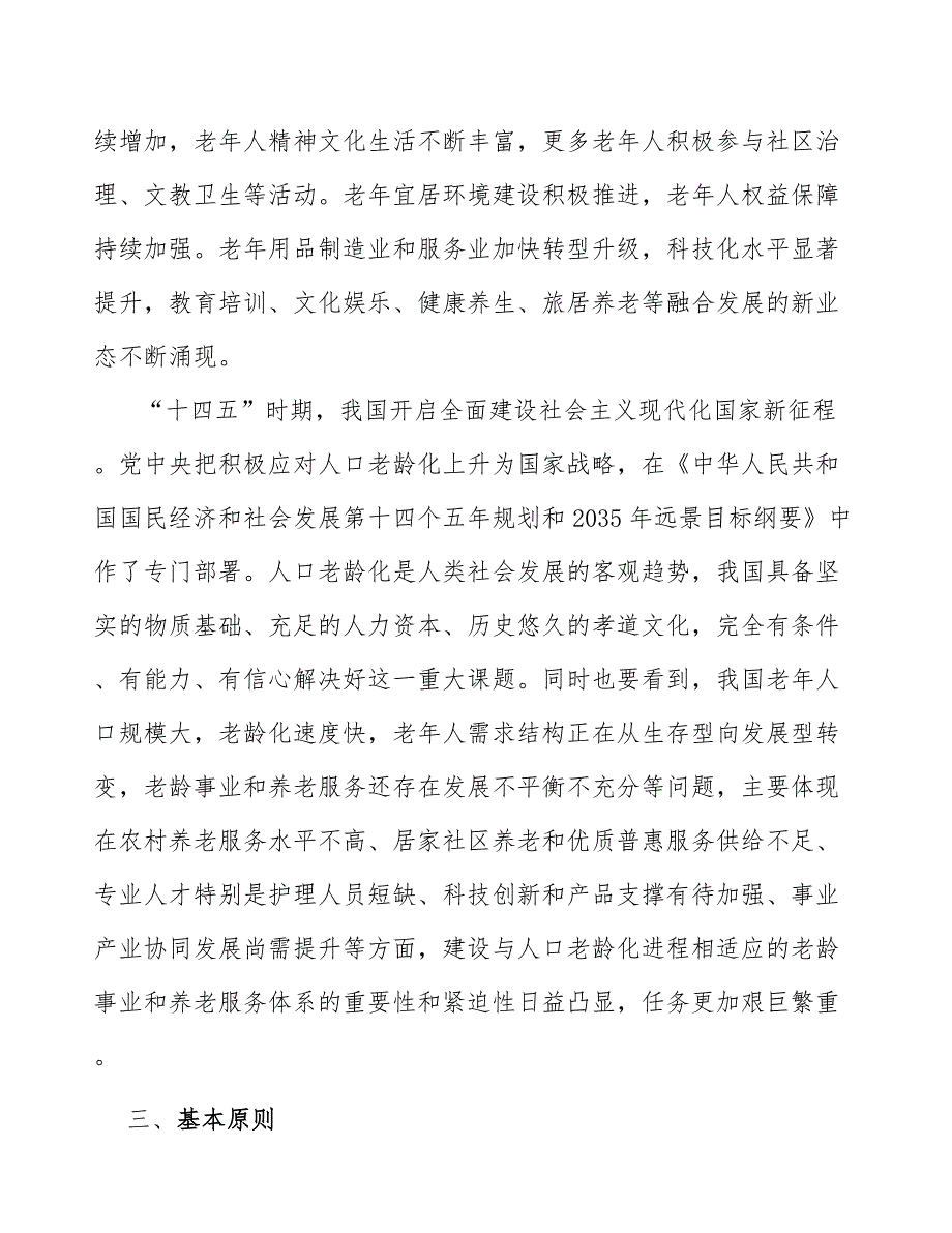 加强老年用品研发制造行动方案_第3页