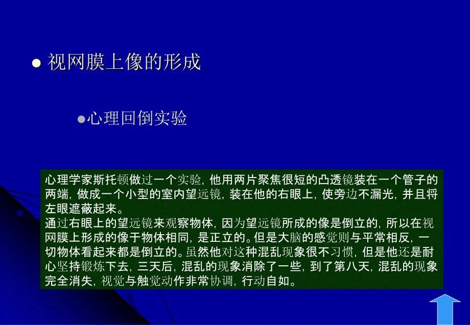 视觉及知觉基本概念.ppt_第5页