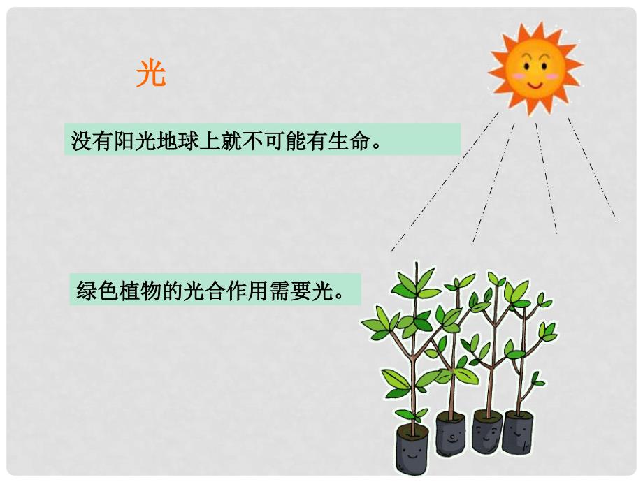 辽宁省灯塔市第二初级中学七年级生物上册 1.1.2 生物与环境的关系课件 （新版）苏教版_第4页