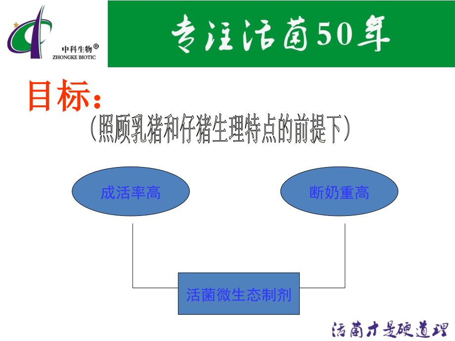 活菌微生态制剂教你春季如何养好猪.ppt_第2页