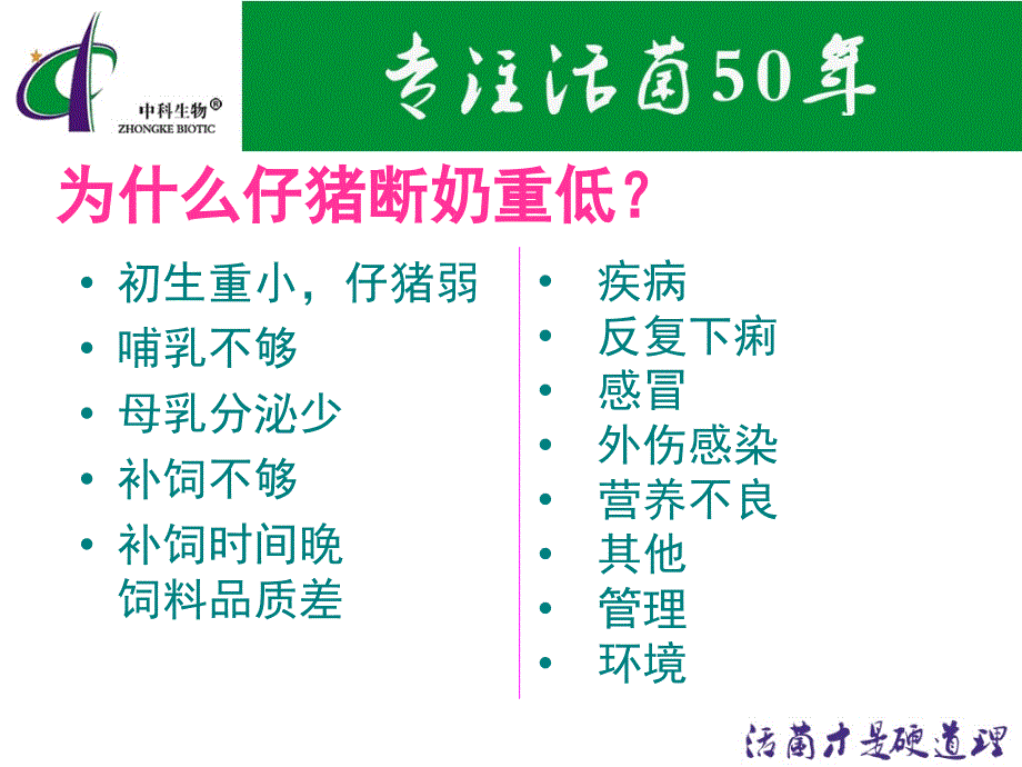 活菌微生态制剂教你春季如何养好猪.ppt_第4页