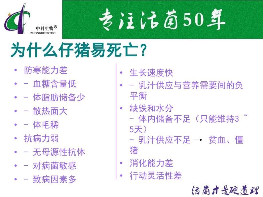 活菌微生态制剂教你春季如何养好猪.ppt_第5页