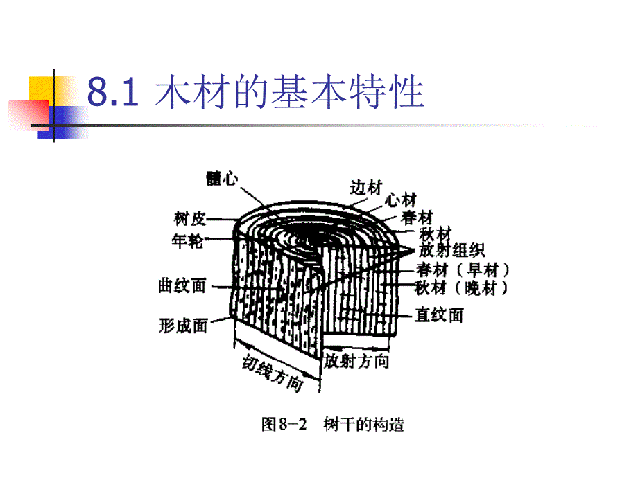 造型材料与工艺第八章-木材及加工工艺ppt课件_第4页