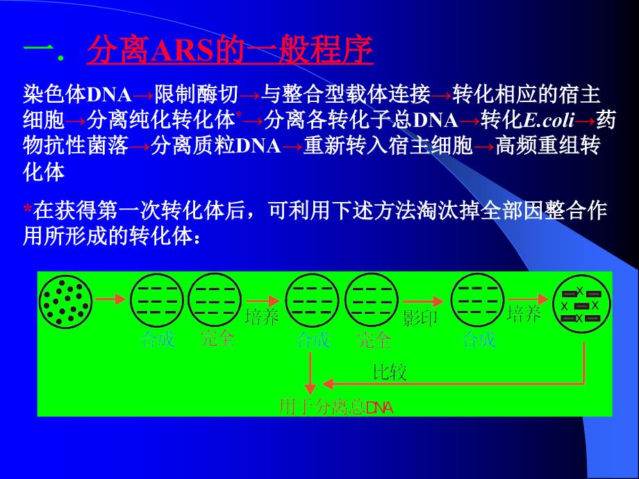 第三节染色体自主复制序列的分离与鉴定_第2页