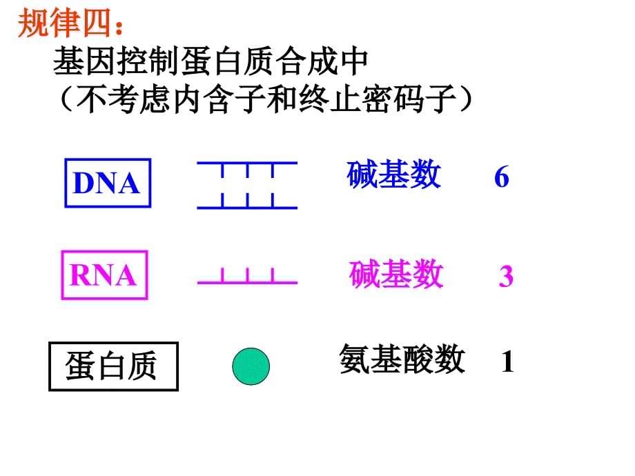 人教版教学课件专题复习：遗传学中的计算_第5页