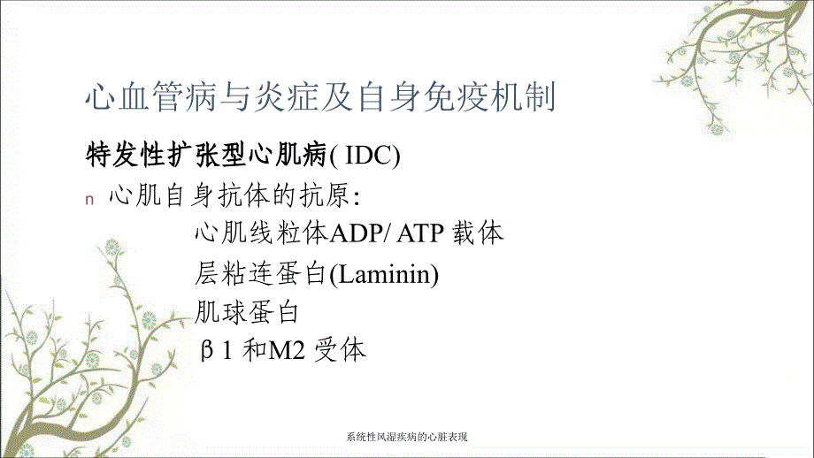 系统性风湿疾病的心脏表现_第3页