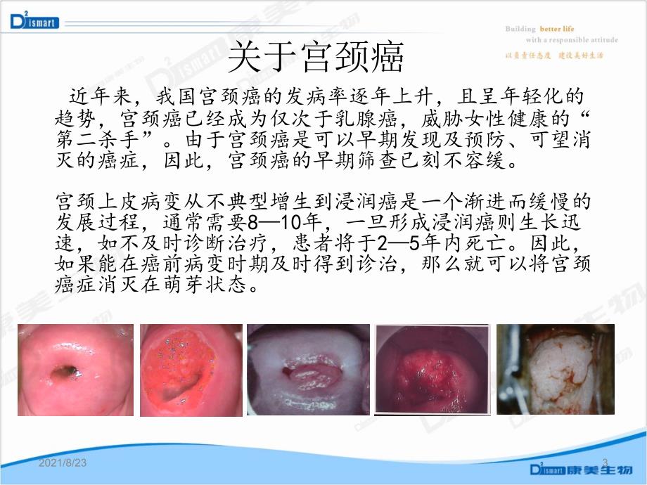 HPV病毒介绍及检测意义（教学课件）_第3页