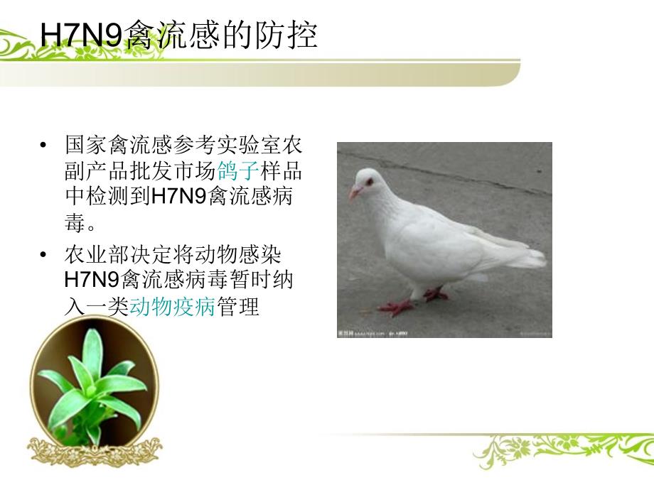 H7N9禽流感防治培训_第4页