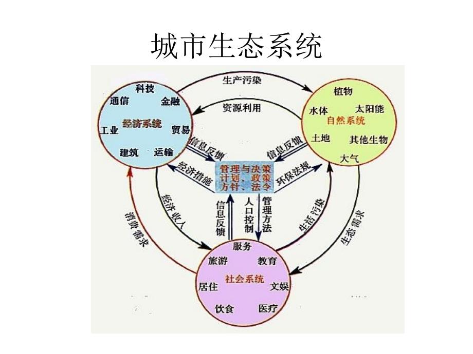 关注城市环境._第4页