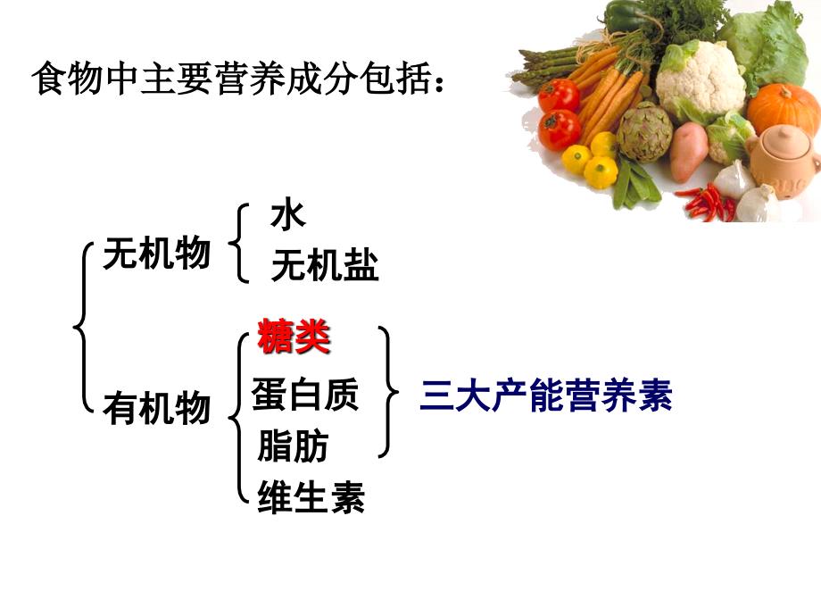 北师大初中生物会考复习七年级下册(一)_第2页