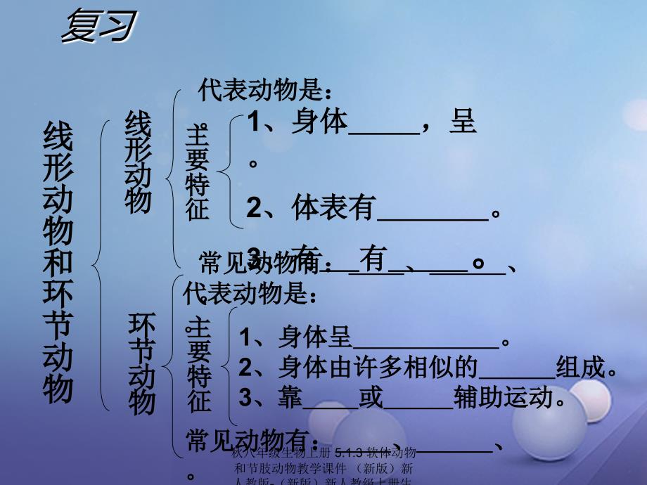 最新八年级生物上册5.1.3软体动物和节肢动物教学课件新版新人教版新版新人教级上册生物课件_第2页