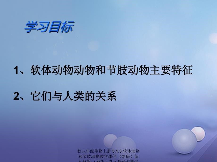 最新八年级生物上册5.1.3软体动物和节肢动物教学课件新版新人教版新版新人教级上册生物课件_第5页