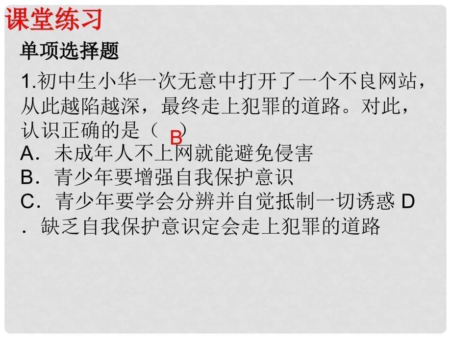 八年级政治上册 第六课 第2框 享受健康的网络交往课件 新人教版_第5页