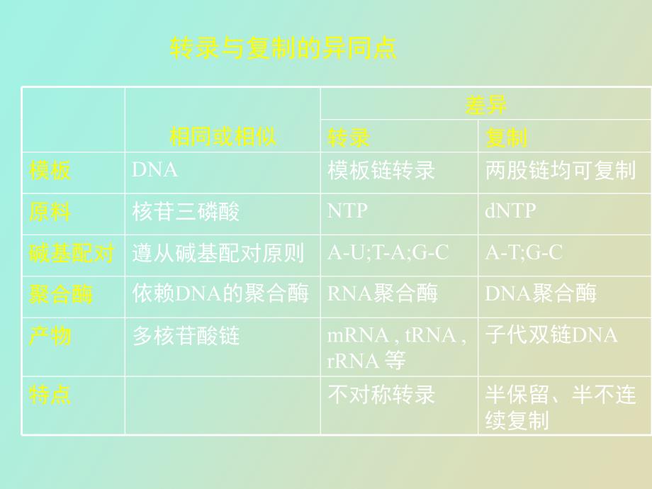 生物信息传递上从DNA到RNA_第4页