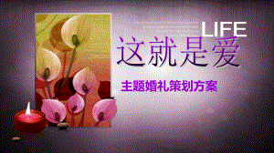 《这就是爱》高端时尚婚礼策划方案