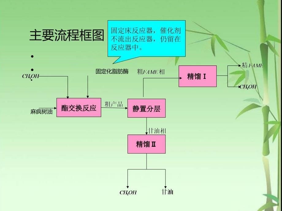 年产5万吨生物柴油厂_第5页