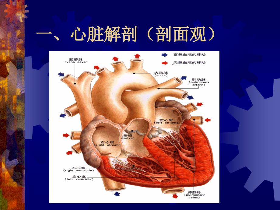 体外手术护理配合讲课室缺_第4页